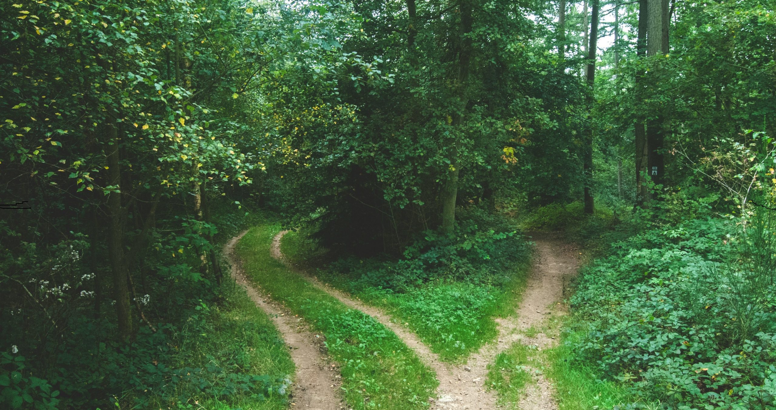 comparing burial insurance and a prepaid funeral plan
