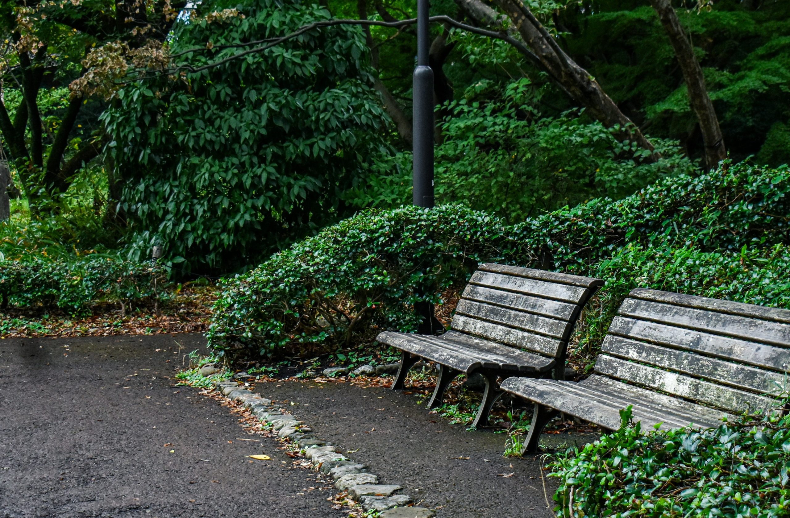 understanding memory care costs and what they cover